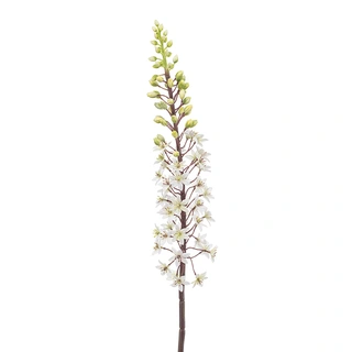 Kunstbloem Eremurus Wit/Groen - 95 cm