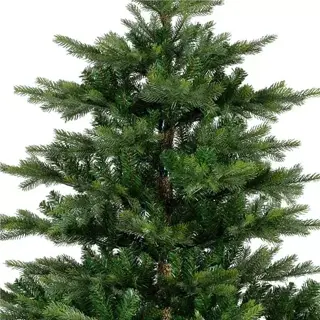 Everlands Grandis Fir Green - 210 cm - afbeelding 2