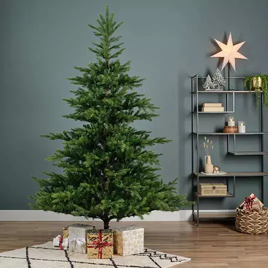 Everlands Grandis Fir Green - 210 cm - afbeelding 4