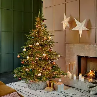 Everlands Grandis Fir Green - 210 cm - afbeelding 5