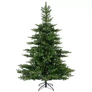 Everlands Grandis Fir Green - 240 cm - afbeelding 1