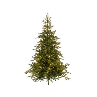 Everlands Grandis Fir LED - 240 cm - afbeelding 1