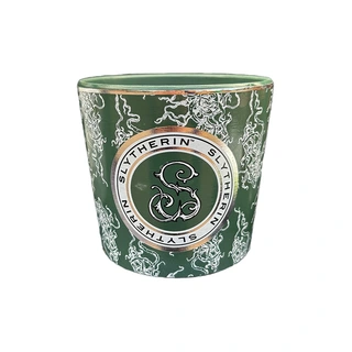 Harry Potter Bloempot Slytherin | De Boet