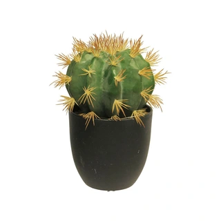 Kunstplant Golden Barrel Cactus in Pot Green - 23 cm