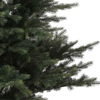 Everlands Grandis Fir Green - 360 cm - afbeelding 2