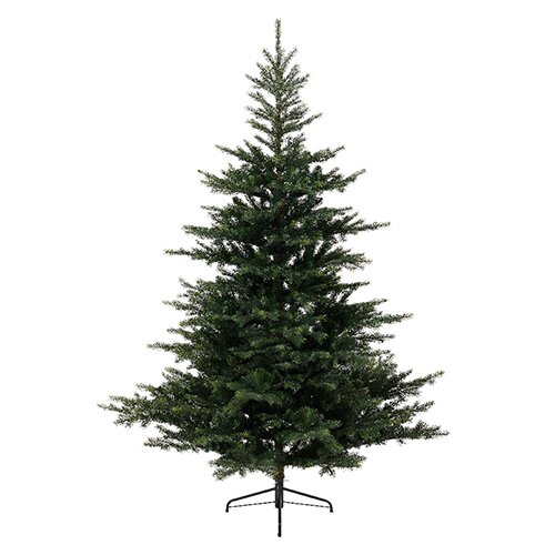 Everlands Grandis Fir Green - 360 cm - afbeelding 1