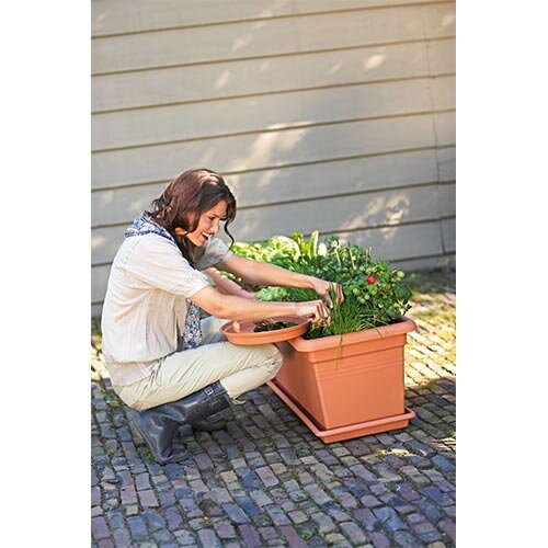 Elho Green Basics Garden XXL Schotel 100 cm - Zwart - afbeelding 2