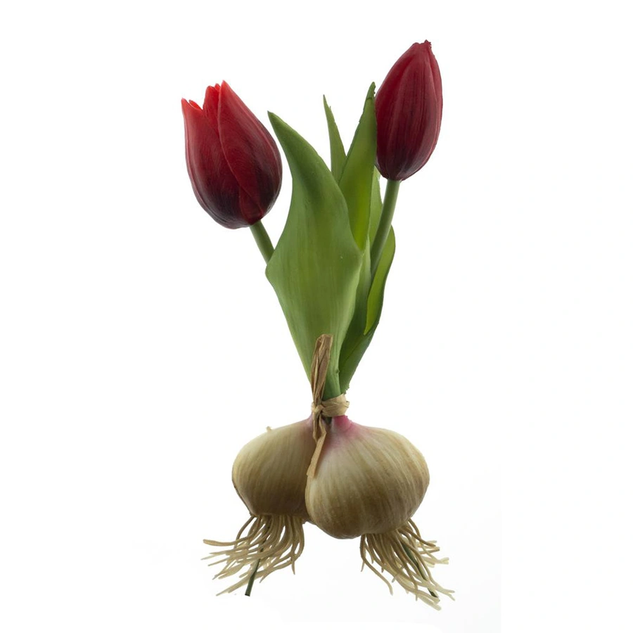 Kunst Tulpen met Bol x2 Red - 18 cm