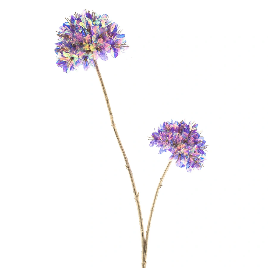 Kunstbloem Allium Holografic Beauty - 78 cm