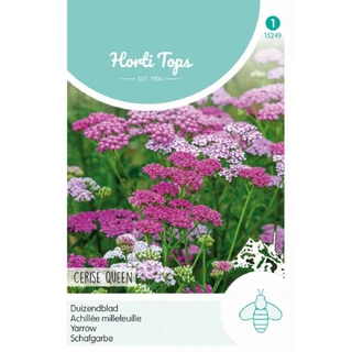 Horti Tops Achillea, Duizendblad Cerise Queen