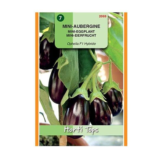 Horti Tops Mini-aubergine Ophelia F1 - afbeelding 1