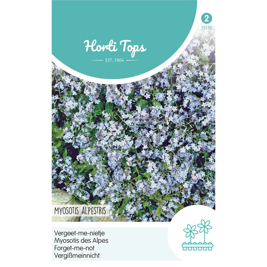 Horti Tops Myosotis, Vergeet-Me-Nietje Blauw - afbeelding 1