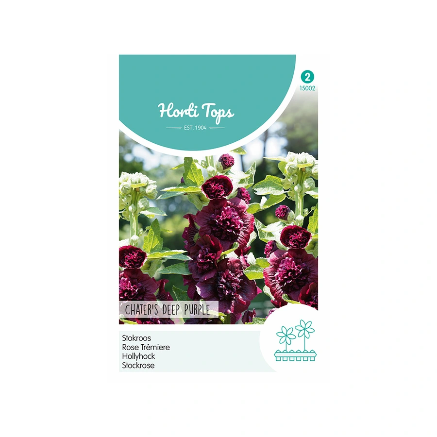 Horti Tops Althaea, Stokroos Chater's Deep Purple - afbeelding 1