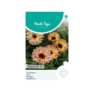 Horti Tops Calendula, Goudsbloem Touch of Red Buff - afbeelding 1