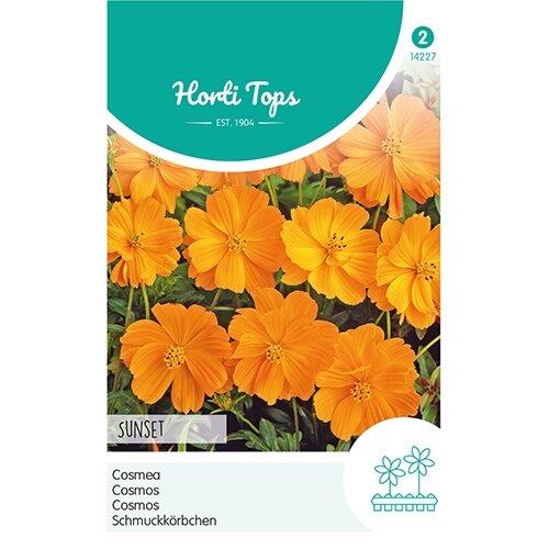 Horti Tops Cosmos, Cosmea Sunset Oranje-Rood - afbeelding 1