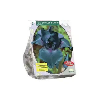 Baltus Iris Germanica Donkerblauw - 3 st.