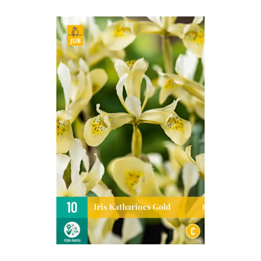 Iris Katharines Gold - 10 st.