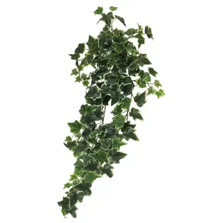 Kunst Hangplant Ivy Chicago hanger L variegated 86cm