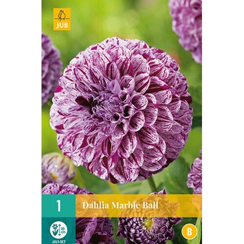 JUB Dahlia marble ball - 1 st.