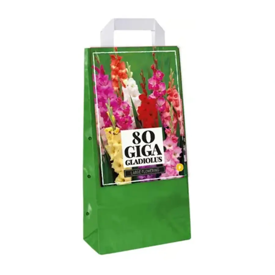 JUB Draagtas Gladiolus mix - 80 st.