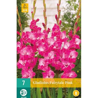 JUB Gladiolus fairytale pink - 7 st.