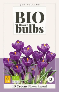 JUB Holland Crocus Flower Record - bio - 10 st.