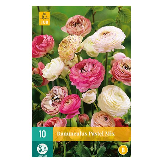 JUB Ranunculus pastel mix - 10 st.