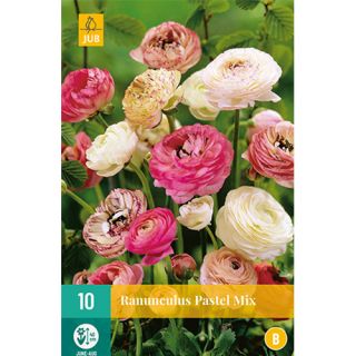 JUB Ranunculus pastel mix - 10 st.