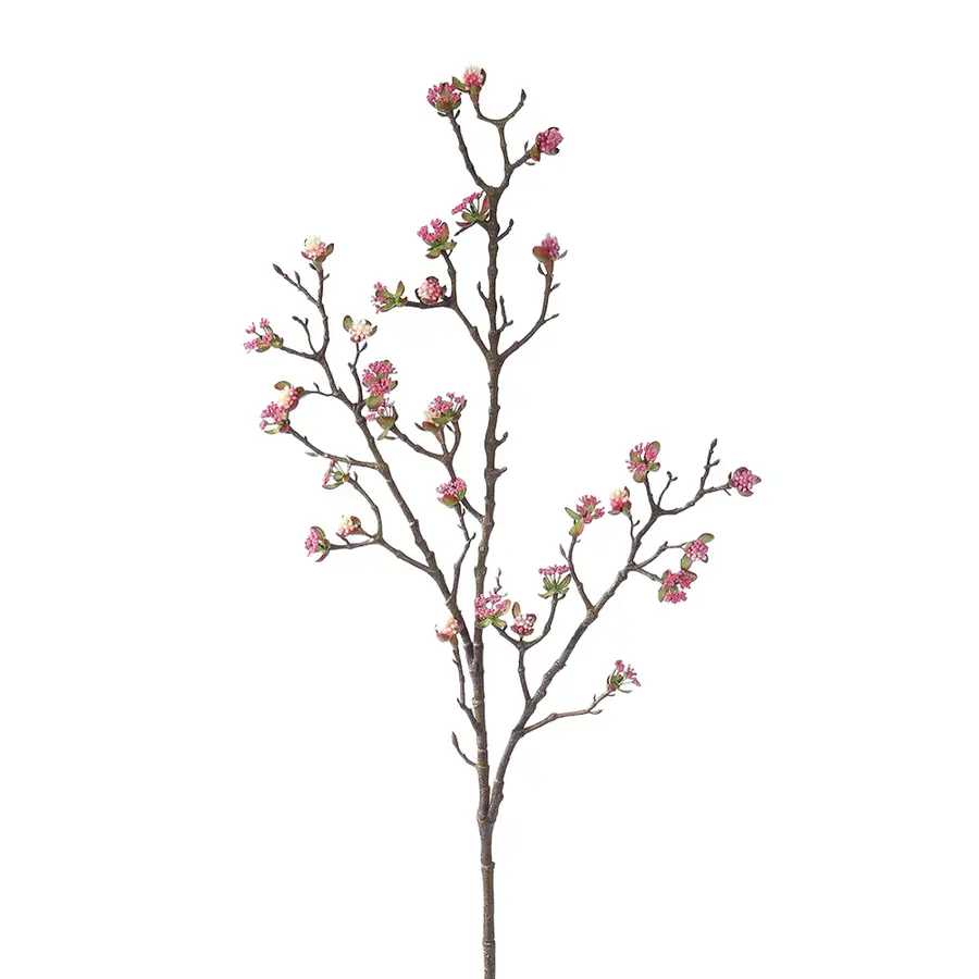 Kunst Garclen Berry Tak Beauty - 102 cm