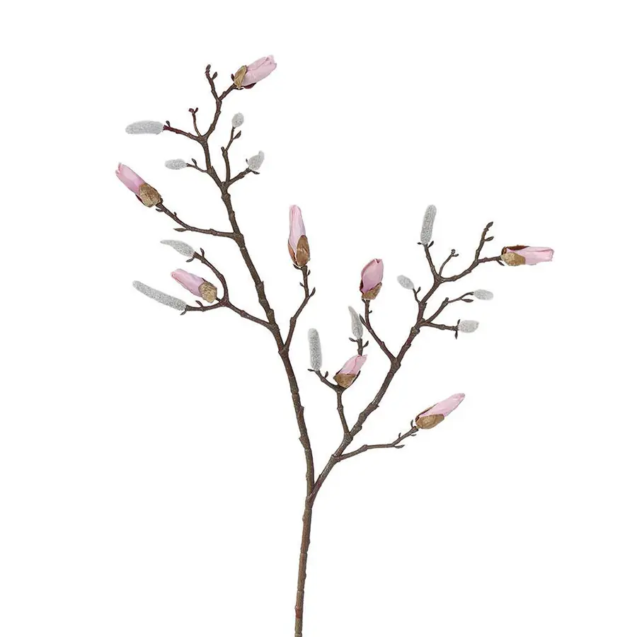 Kunst Magnolia Tak Beauty - 86 cm