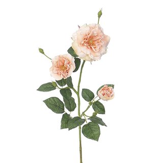Kunst Rozentak - Zalm roze
