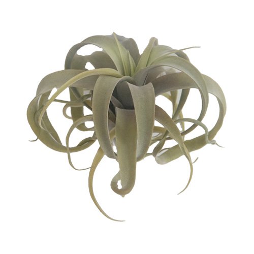 Kunst tillandsia - 26 cm