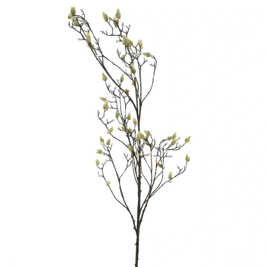 Kunsttak Magnolia Bud Cream - 182 cm