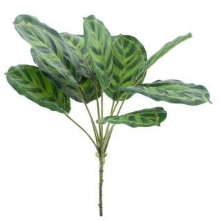 Kunstplant Maranta Leaf Taco Green - 43 cm