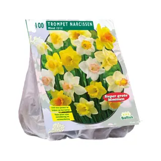 Baltus Narcis Trompet Mix - 100 st.