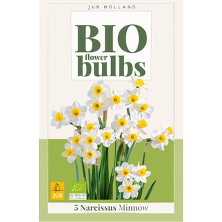 Narcissus Minnow Biologisch 5 st. | de Boet