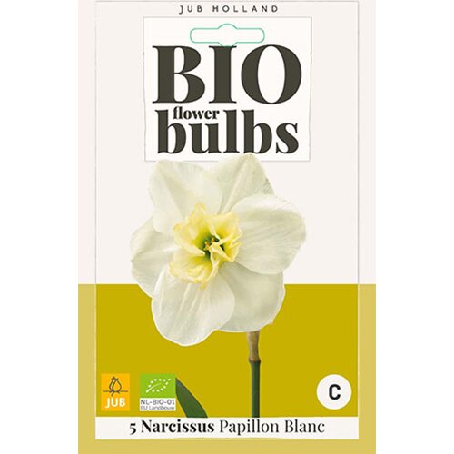 Narcissus Papillon Blanc - 5 st.