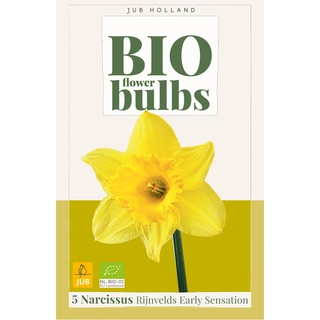 Narcissus Rijnvelds Early Sensation Bio 5 st. | de Boet