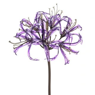 Kunstbloem Nerine Glamour Purple - 75 cm