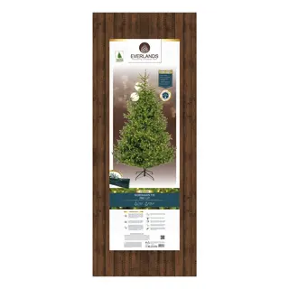 Everlands Nordmann Kunstkerstboom LED - 240 cm - afbeelding 7