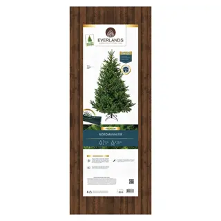 Everlands Nordmann Fir Kunstkerstboom - 110x150 cm - afbeelding 6