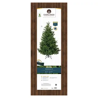 Everlands Nordmann Fir Kunstkerstboom - 150x210 cm - afbeelding 6