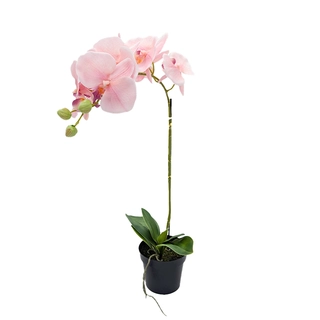 Orchidee Kunstplant 1-tak 55 cm - Roze