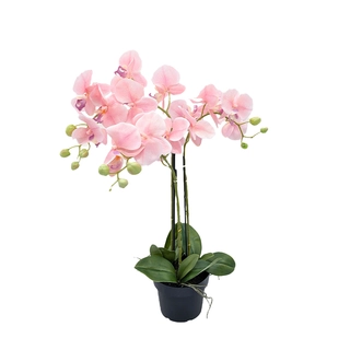 Orchidee Kunstplant 3-tak 68 cm - Roze