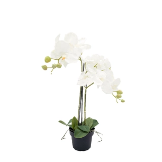 Orchidee Kunstplant 3-tak 68 cm - Wit