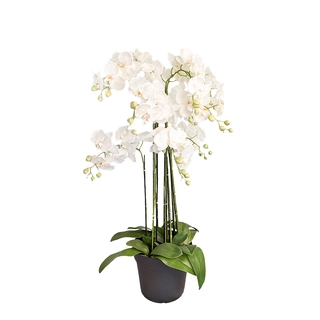 Orchidee Kunstplant 9-tak 110 cm - Wit