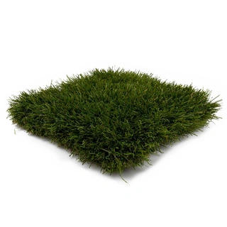Easylawn Kunstgras Peak60 - 2 m