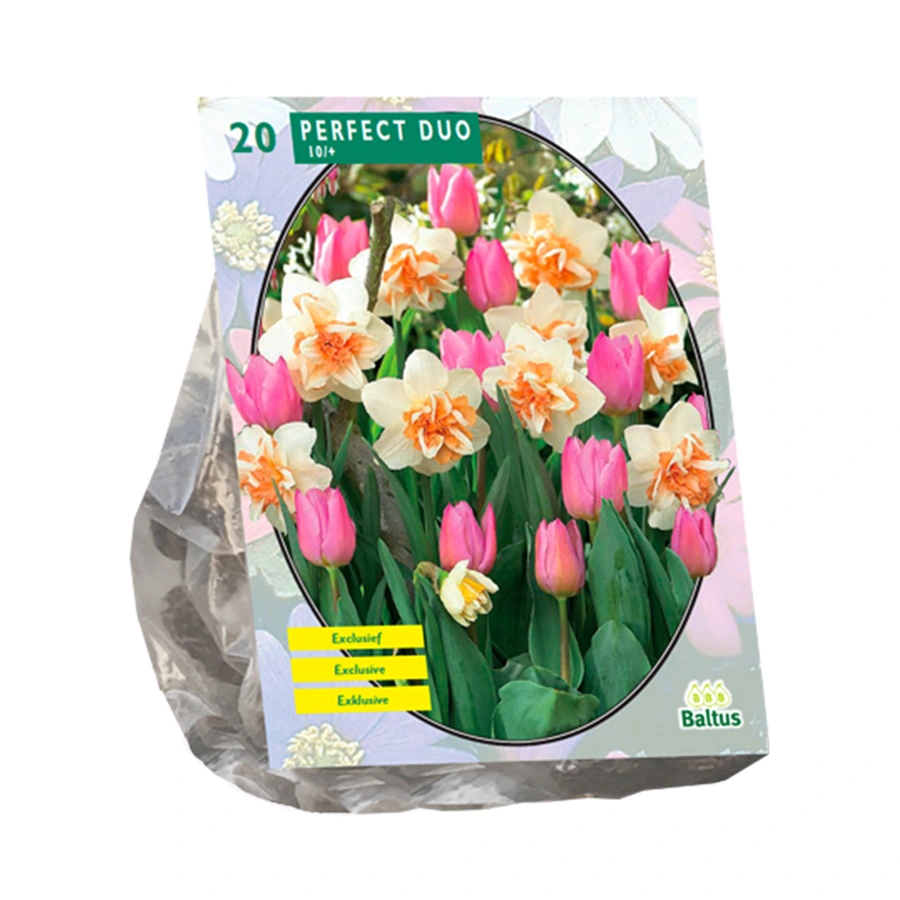 Baltus Perfect Dua Narcissus/Tulipa - 20 st.