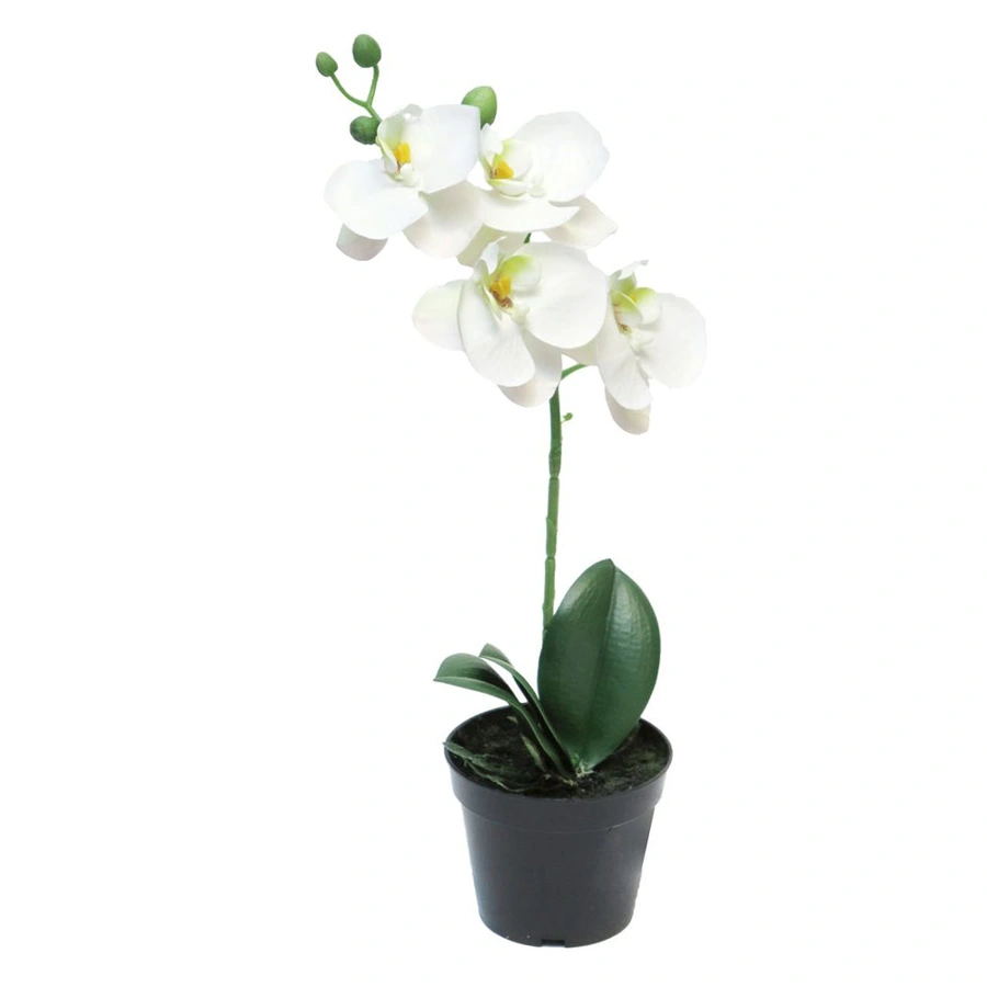 Kunstplant Phalaenopsis Bora in Pot White - 35 cm