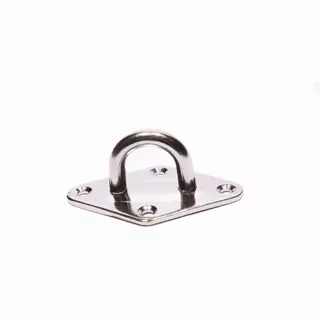 Platinum Plaat met Oog - 8 mm | Tuincentrum De Boet